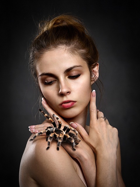 Chilobrachys