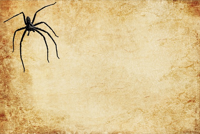 Avicularia