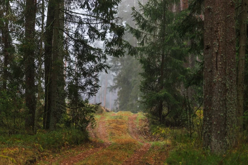 Lithuania