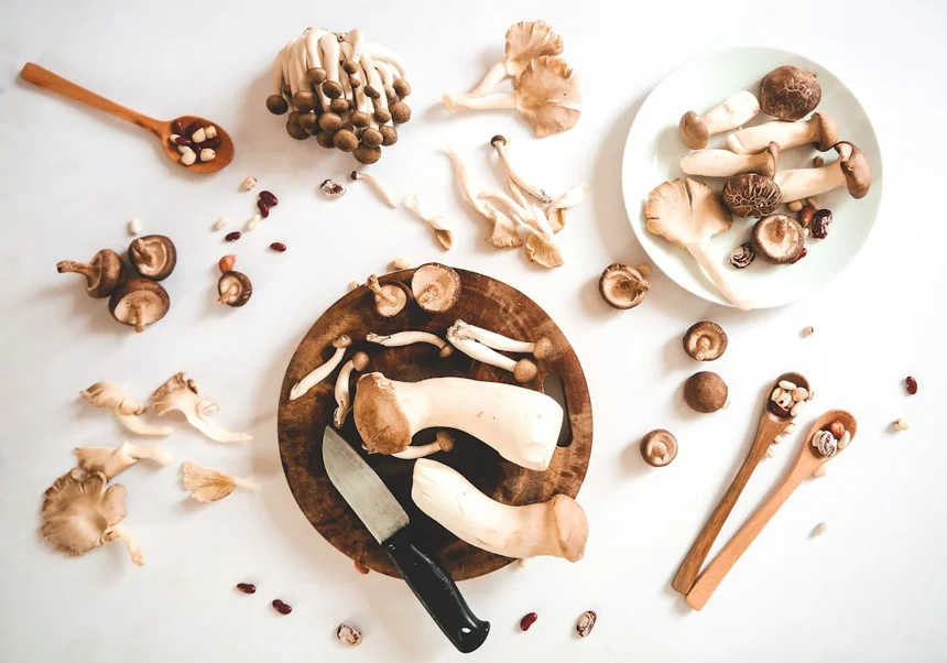 Mushroom