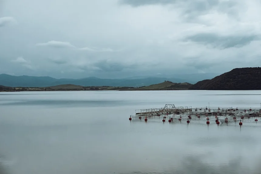Aquaculture