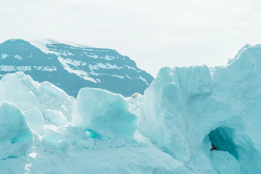 Arctic