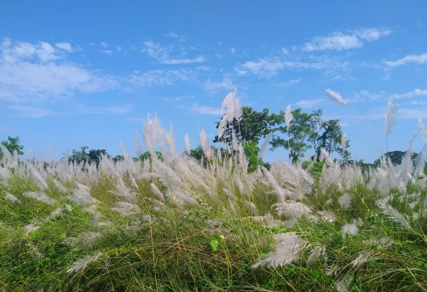 Bangladesh