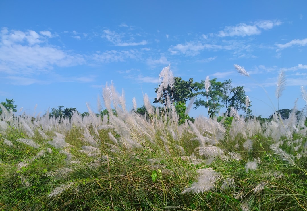 Bangladesh