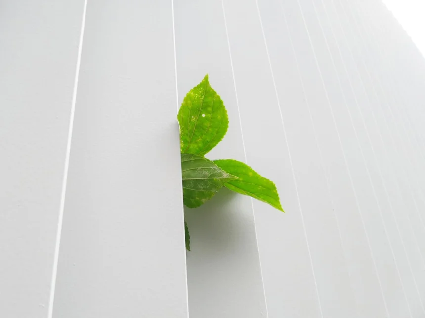Ecology