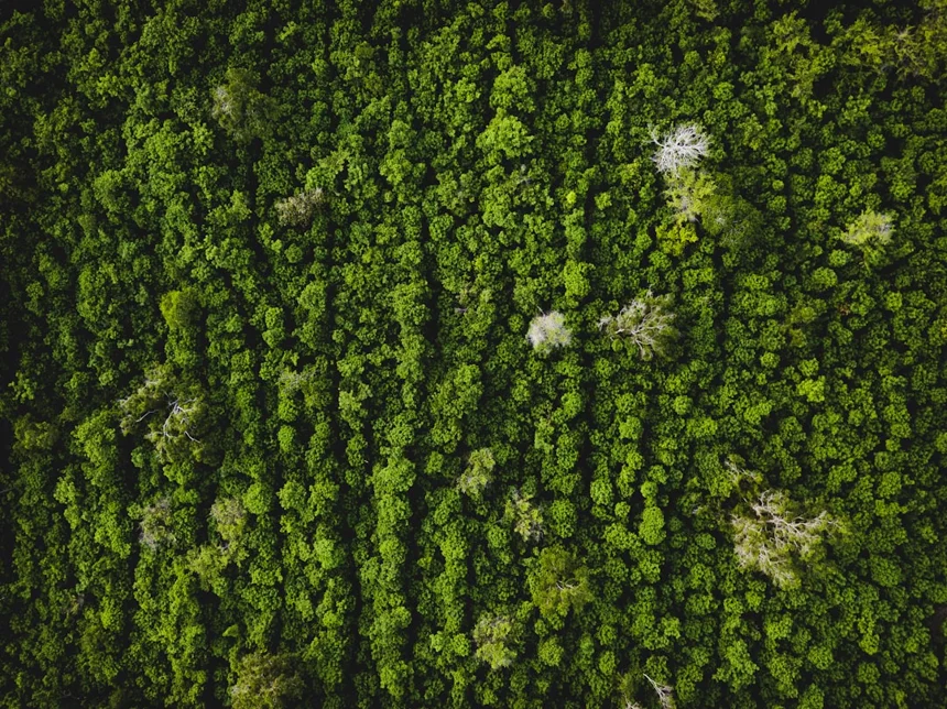 Ecology