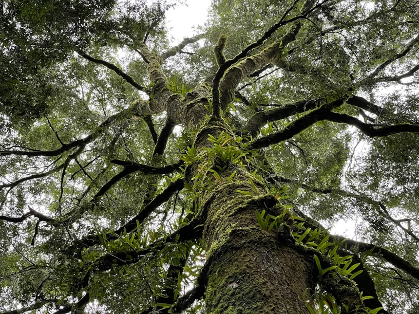 Ecosystem