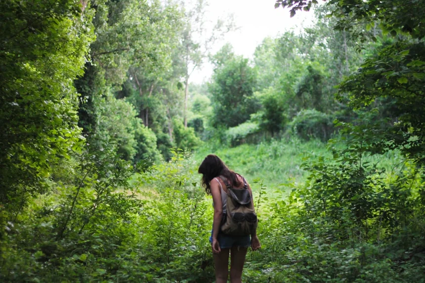 Exploration