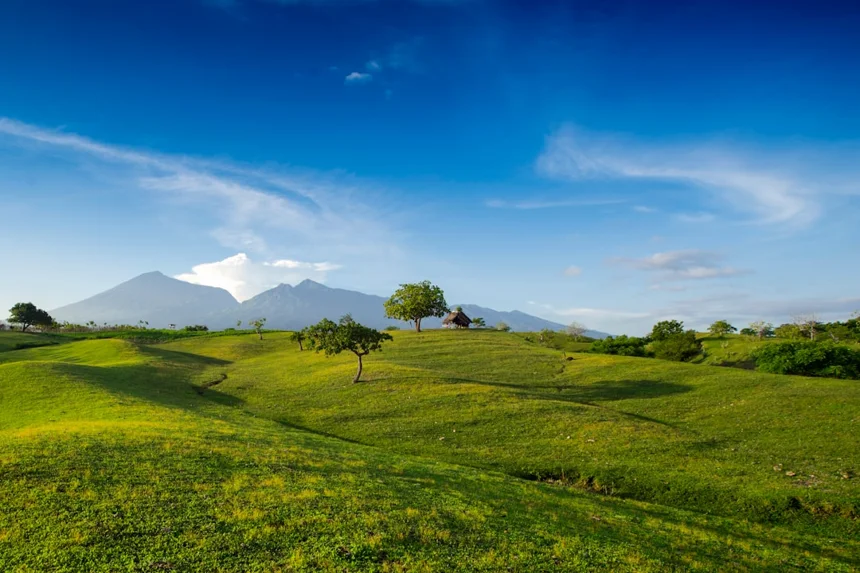 Indonesia