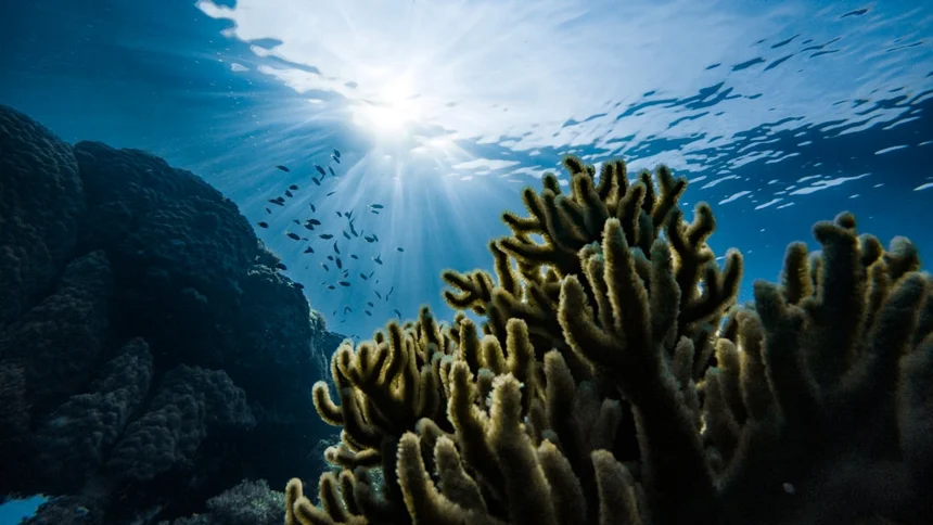 Micronesia