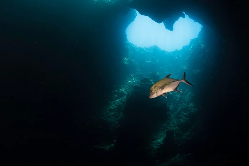 Palau
