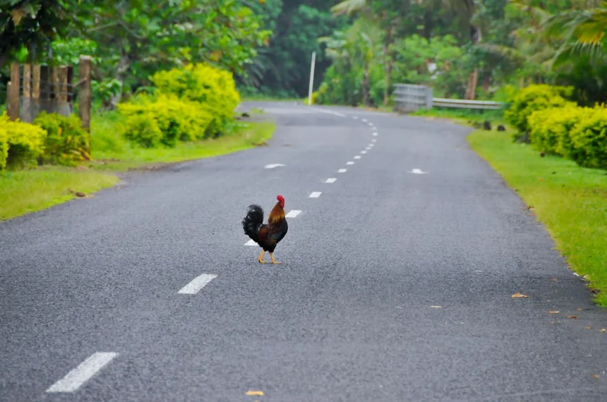 Samoa