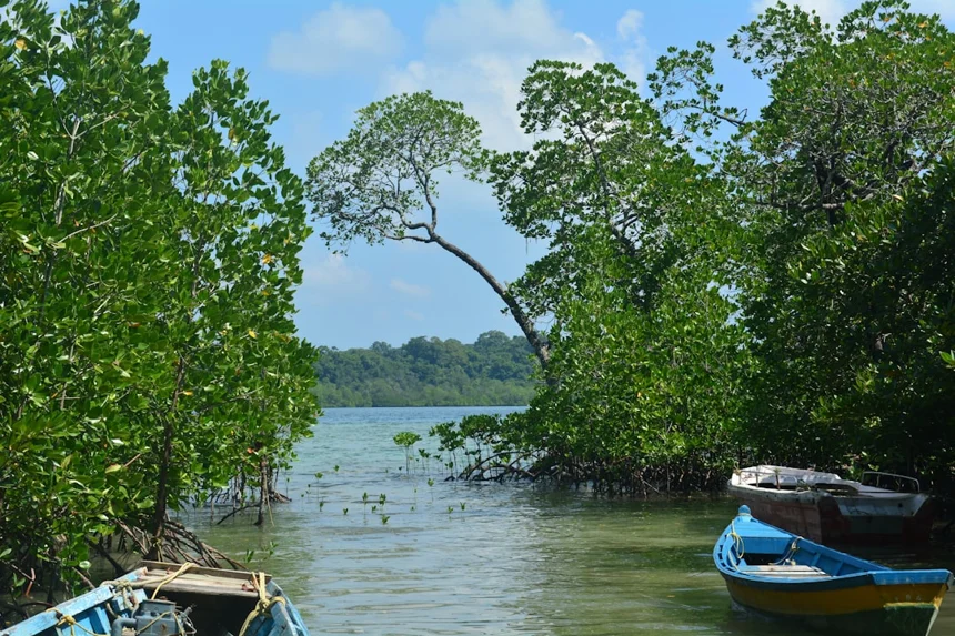 Solomon Islands