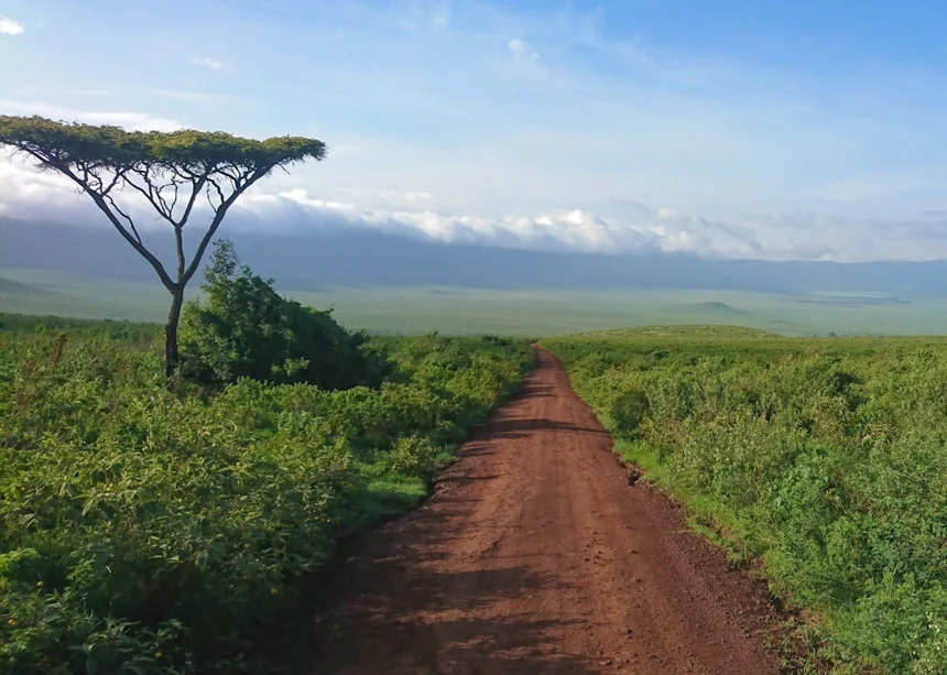 Tanzania
