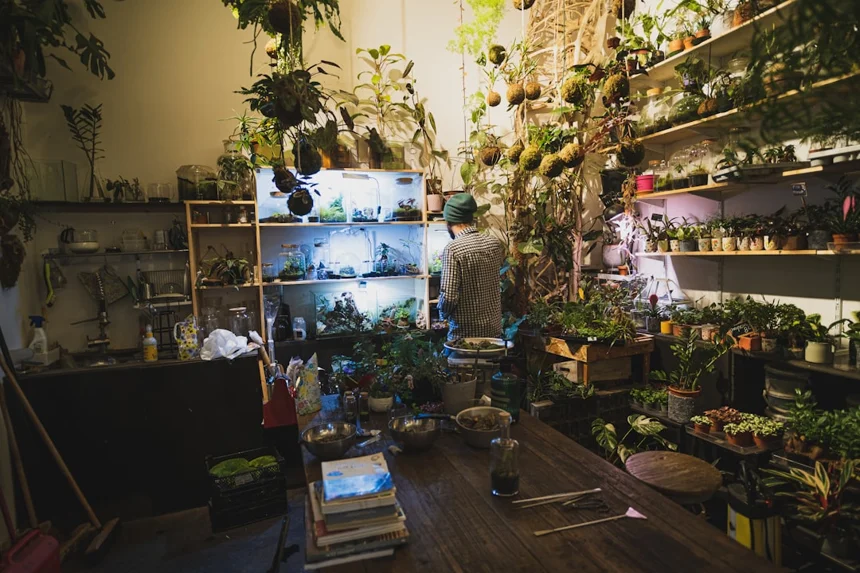 Terrarium