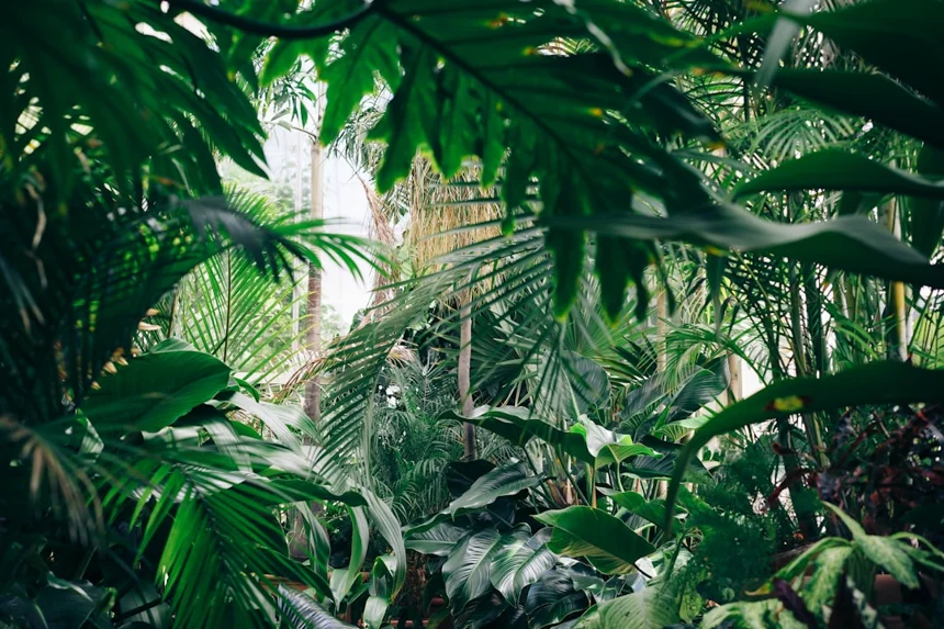 Terrarium