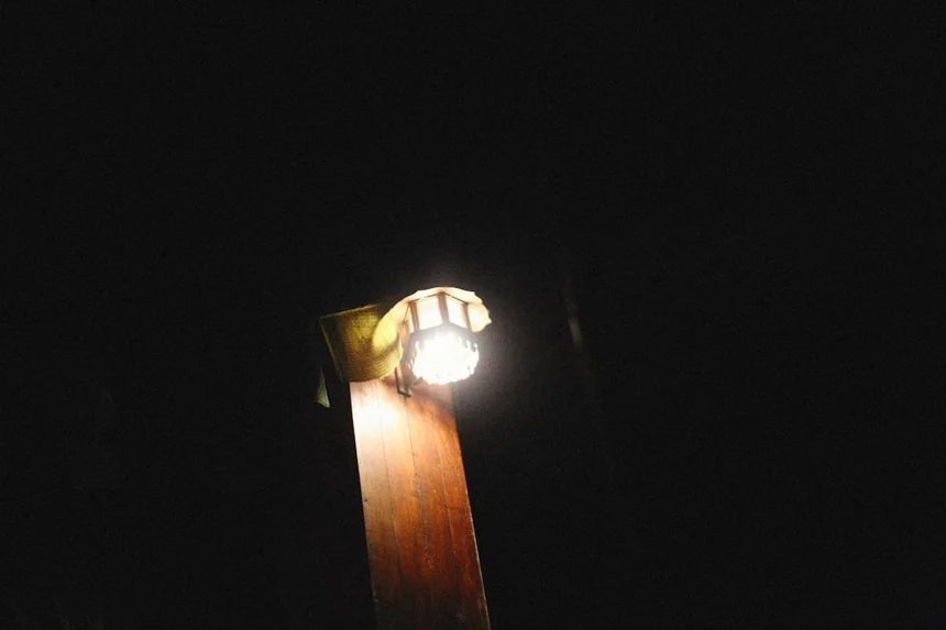 UVB Lighting
