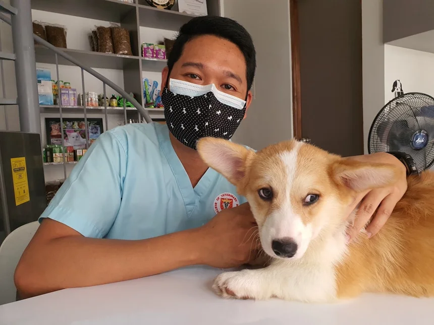 Veterinarian