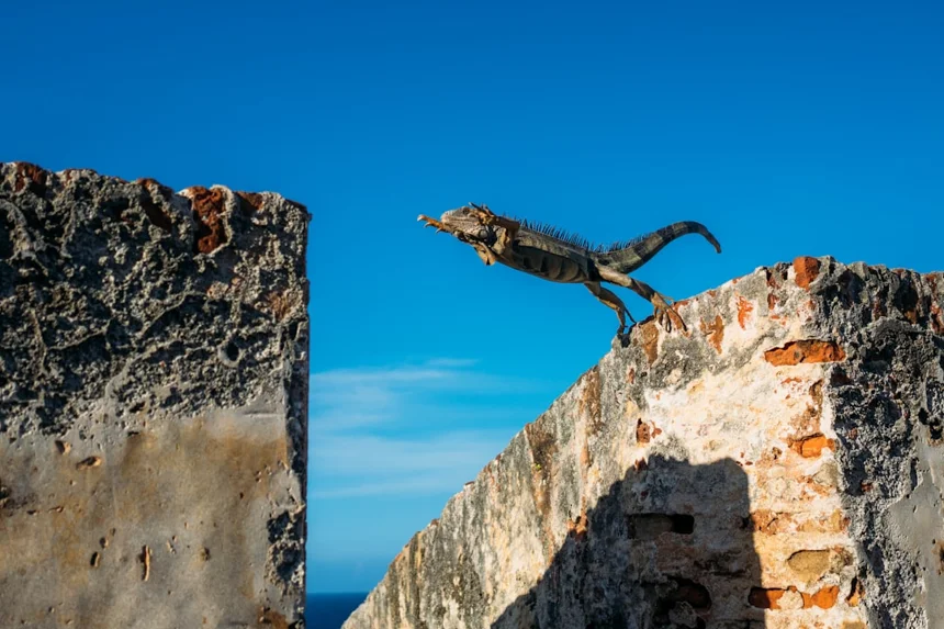 Jumping