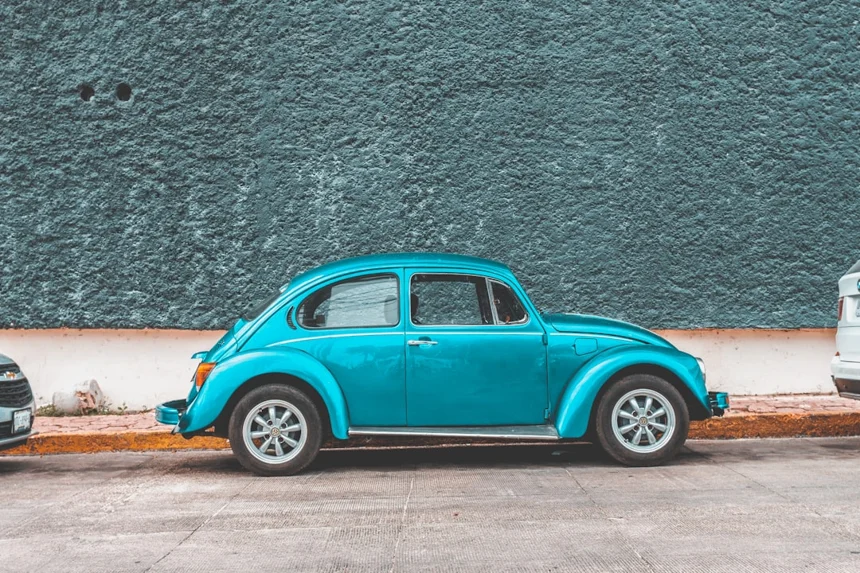 beetle