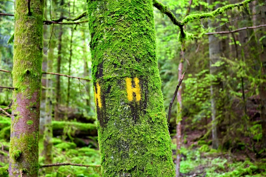 Habitat