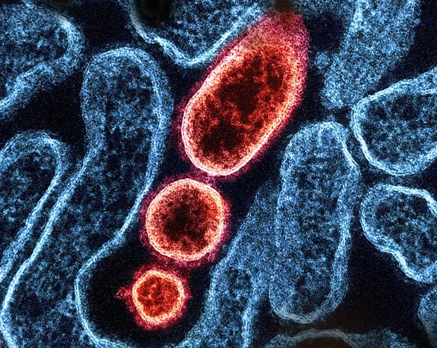 Microbiome