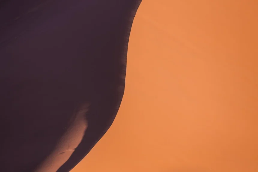 Zorilla