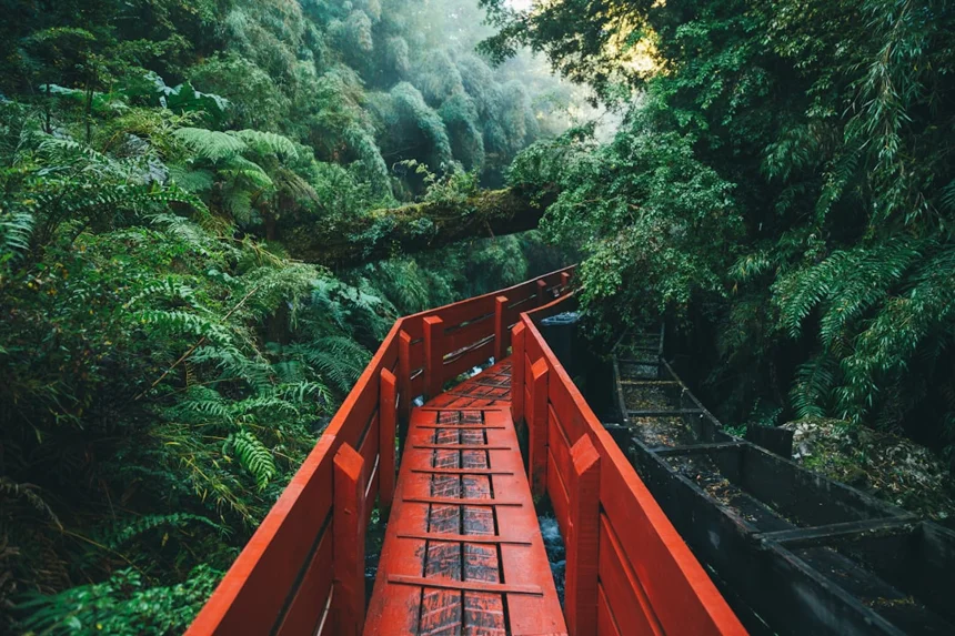 Discovery